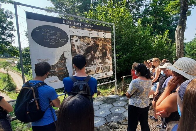 Bears Sanctuary, Dracula Castle and Poiana Brasov-Private day tour from Brasov - Who Will Enjoy This Day Most?