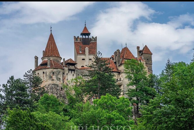 Bears Sanctuary, Dracula's Castle and Brașov City - Private Tour - Leaving Bucharest for the Carpathian foothills