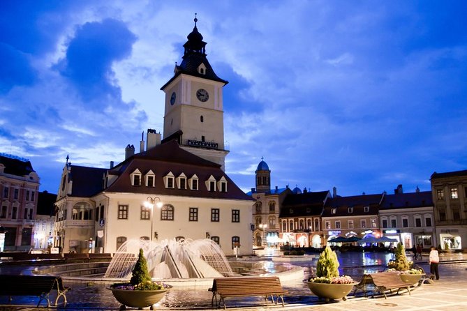 Bears Sanctuary, Dracula's Castle, Brasov Day Trip Private Tour from Bucharest - What the $307.56 price really buys