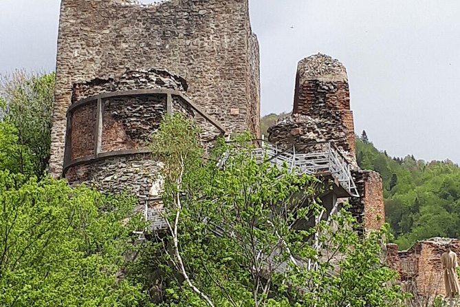 Bears Sanctuary, Dracula's Castle, Brasov Day Trip Private Tour from Bucharest - The drawbacks you should weigh