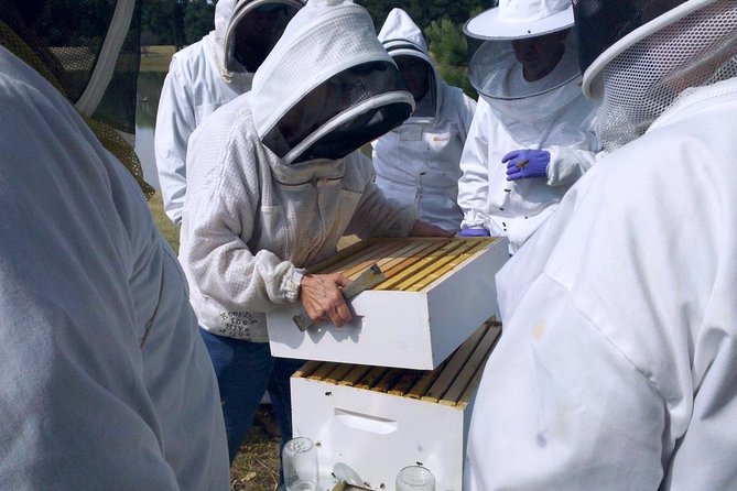 Beekeeping Day Trip| Private Guided Tour from Bucharest - Key points before you book