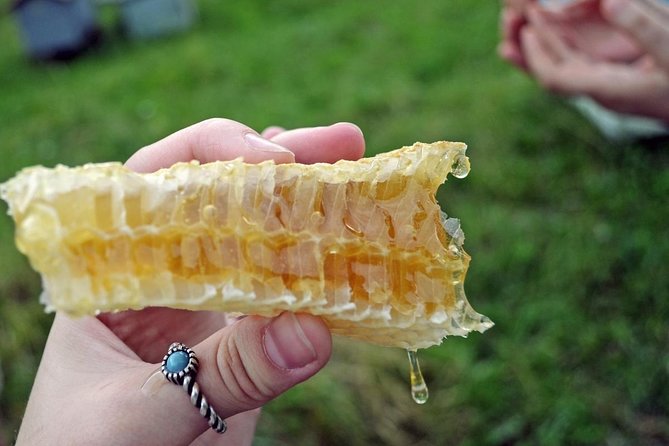 Beekeeping Day Trip| Private Guided Tour from Bucharest - Meeting the beekeeping family and their working apiary