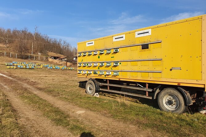 Beekeeping Day Trip| Private Guided Tour from Bucharest - Watching honey harvesting in practice