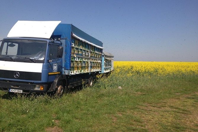 Beekeeping Day Trip| Private Guided Tour from Bucharest - Why the private format matters