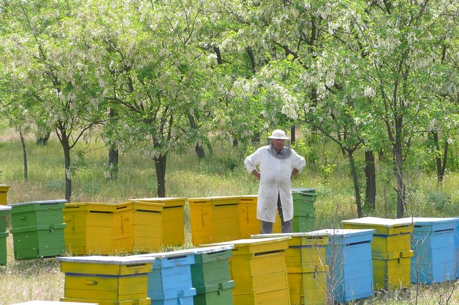 Bees Adventure in Romania - Private Day Trip from Bucharest - Key Points at a Glance