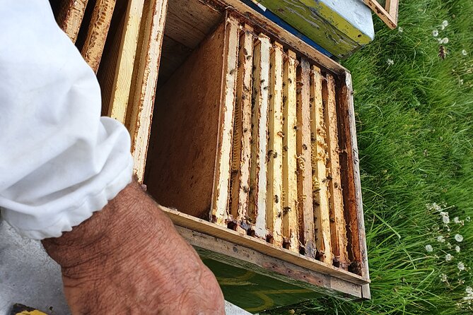 Bees Adventure in Romania - Private Day Trip from Bucharest - Meeting Nicolas and His Father’s Bees