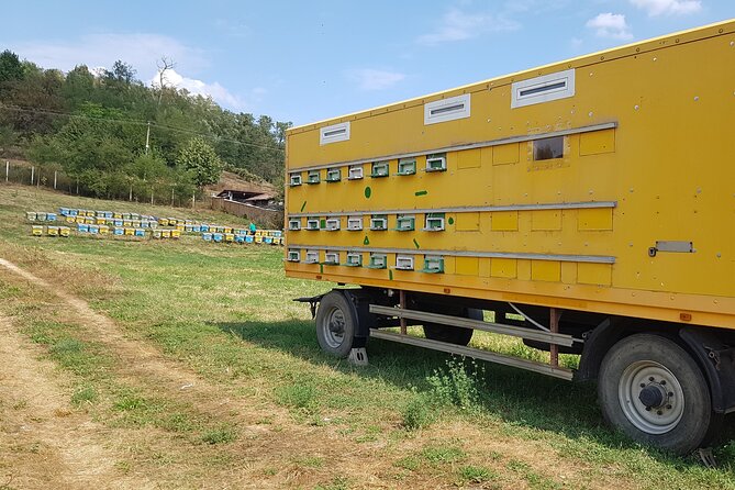 Bees Adventure in Romania - Private Day Trip from Bucharest - A Romanian Lunch in the Countryside