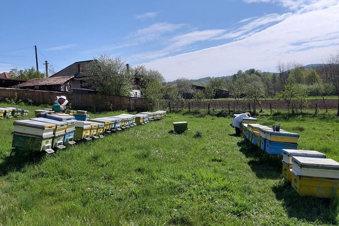 Bees Adventure in Romania - Private Day Trip from Bucharest - Who Gets the Best Value for $289.40?