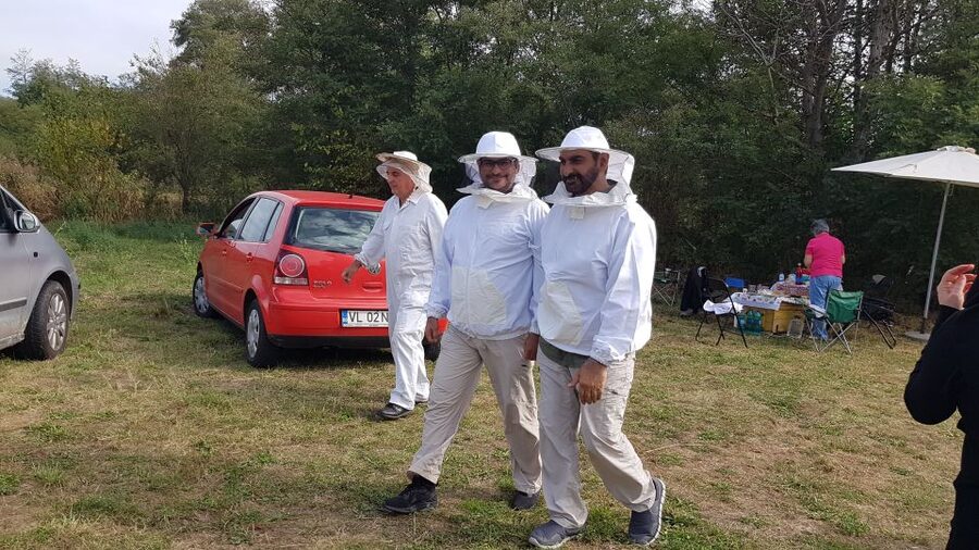 Bees in Romania - Private Beekeeping Lesson and Local Lunch - Leaving Bucharest for a working apiary