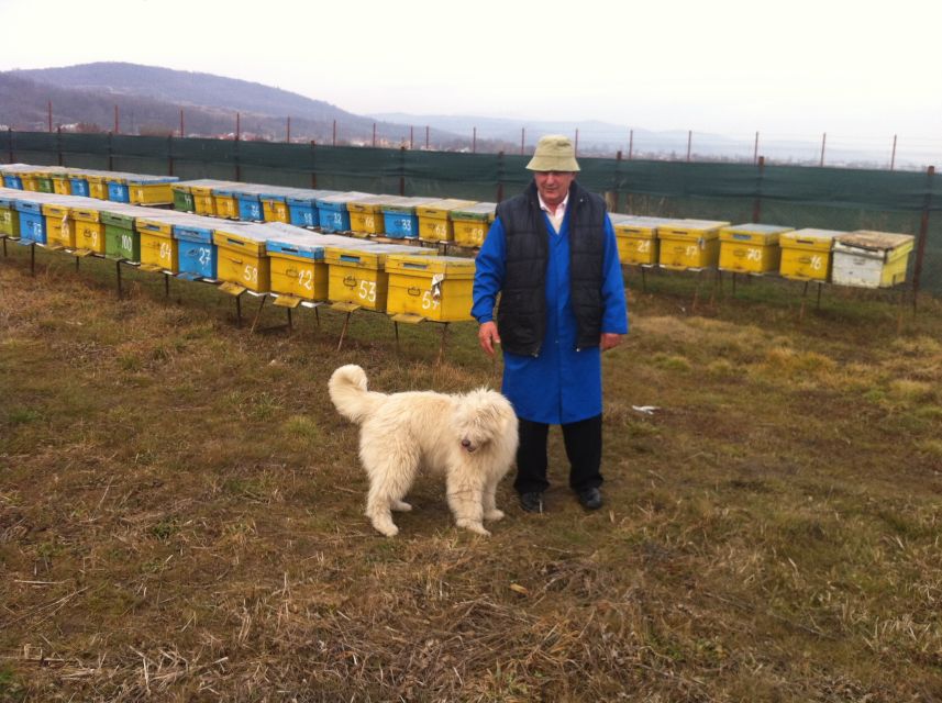 Bees in Romania - Private Beekeeping Lesson and Local Lunch - Beyond honey: six products from the hive