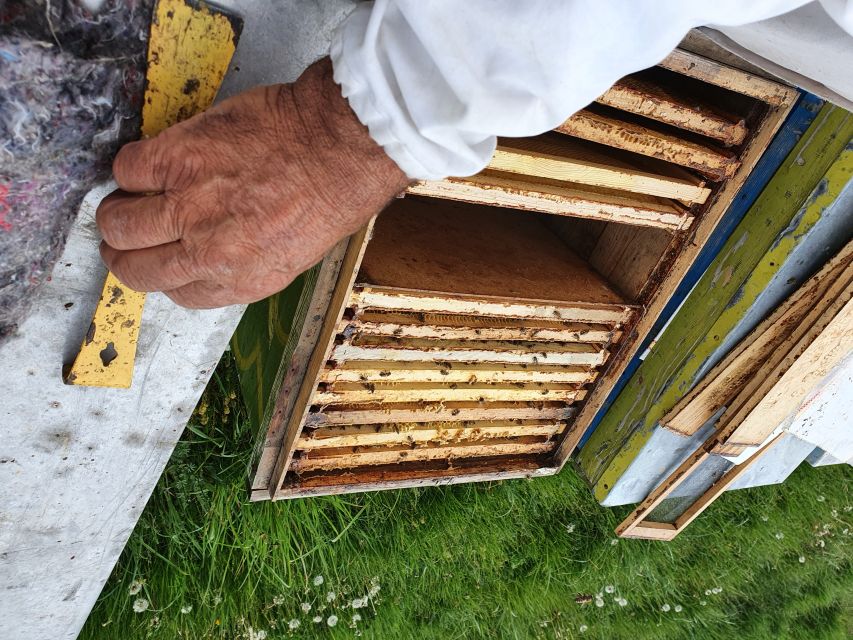 Bees in Romania - Private Beekeeping Lesson and Local Lunch - A countryside lunch after the apiary