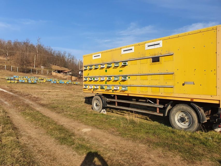 Bees in Romania - Private Beekeeping Lesson and Local Lunch - Finishing with honeybee products