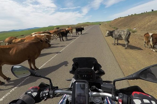 Best of Romania Motorcycle Tour - Neamt Citadel and the rougher Transceahlau ride