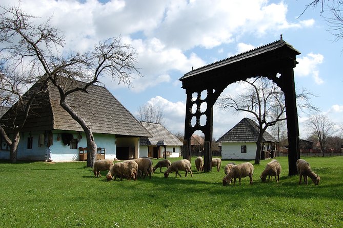 Best of Székely Land's Nature and Culture Full Day Trip from Brasov - Cernat and the Pál Haszmann Museum