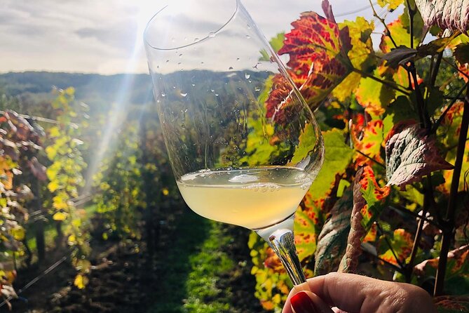 Bike & Wine tour in Dealu Mare wineland - Why Dealu Mare makes a good day trip from Bucharest