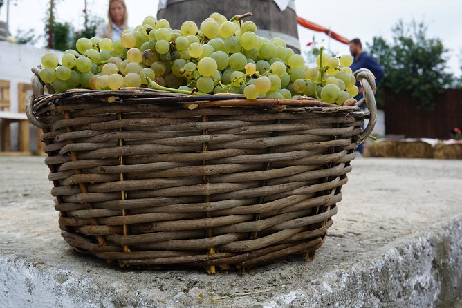 Bike & Wine tour in Dealu Mare wineland - Conacul Bellu and its old Romanian character