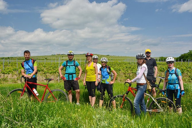 Bike & Wine tour in Dealu Mare wineland - Boutique wine cellar, tastings, and local food