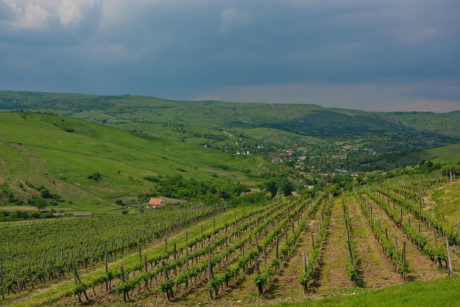 Bike & Wine tour in Dealu Mare wineland - Who will enjoy this tour most