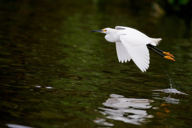 Bird watching in Danube Delta - Private day tour from Bucharest - The value of a $378.02 private day