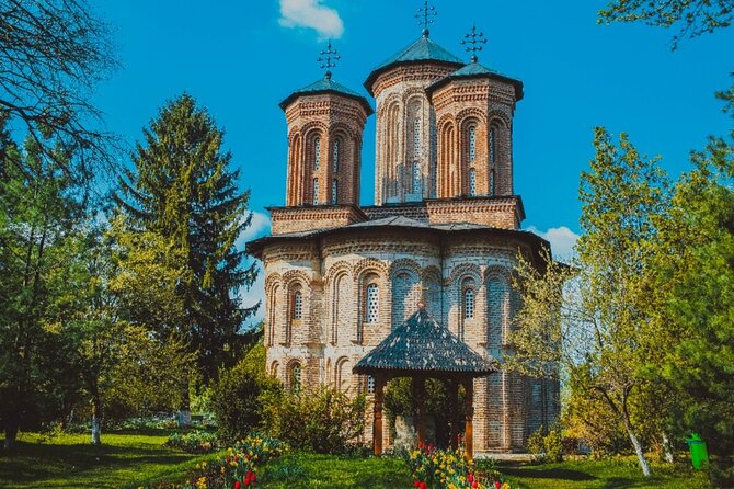 Bison Sanctuary, Vlad the Impaler Princely Court & Dracula Grave - Why this Bucharest day trip works