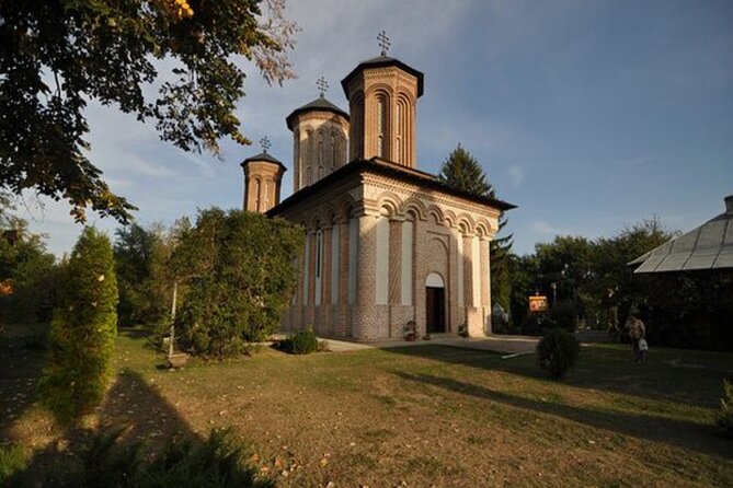 Bison Sanctuary, Vlad the Impaler Princely Court & Dracula Grave - What the guide adds to the day