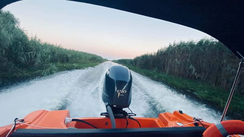 Boat Trip to Caraorman Forest – Danube Delta (6–7 hours) - Key points to know before boarding