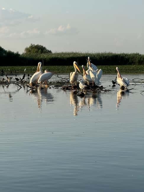 Boat Trip to Caraorman Forest – Danube Delta (6–7 hours) - The secret canal to Lake Cabluata