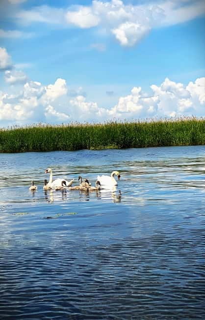 Boat Trip to Caraorman Forest – Danube Delta (6–7 hours) - Is $22 good value for the route?