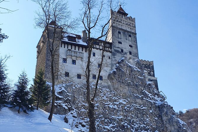 Bran and Peles Castles, Bear Sanctuary and Palinca Tasting with Tickets - Who will get the most from this private tour?