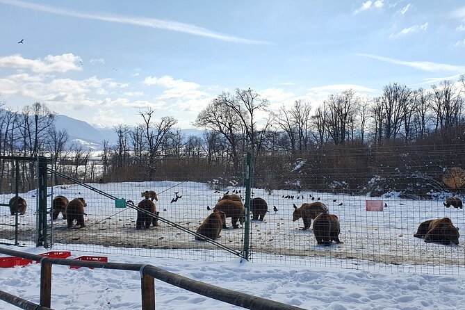 Bran and Peles Castles, Bear Sanctuary and Palinca Tasting with Tickets - Peles Castle in Sinaia: the day’s royal centerpiece