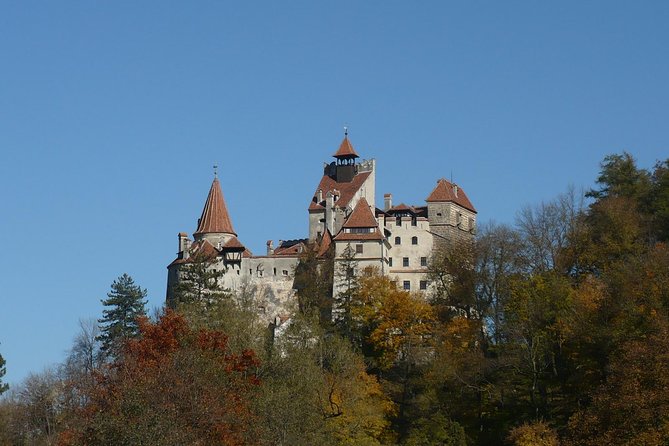 Bran Castle and more options private tour from Brasov - What Makes This Tour Worth Considering