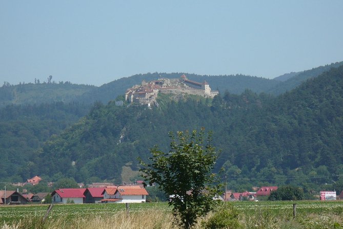 Bran Castle and more options private tour from Brasov - Timing, Route Choices, and What You Actually See