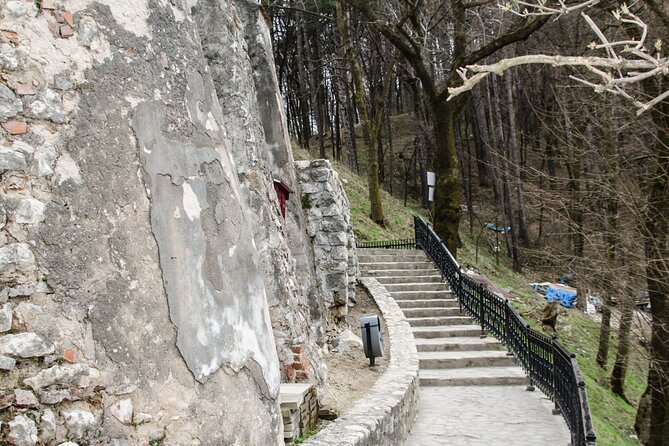 Bran Castle, Bear Sanctuary, and Rasnov Fortress Half Day Tour - Libearty Bear Sanctuary: the strongest stop