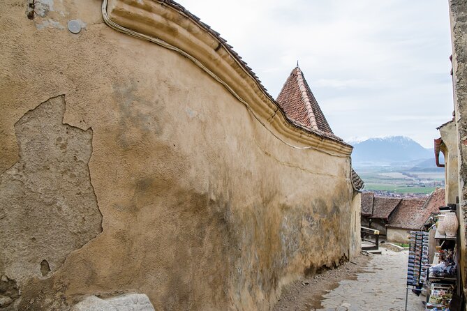 Bran Castle, Bear Sanctuary, and Rasnov Fortress Half Day Tour - Food, pace, and what to bring