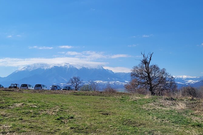 Bran Castle & Bear Sanctuary from Brasov - Optional Peles Castle - Price, tickets, lunch, and overall value