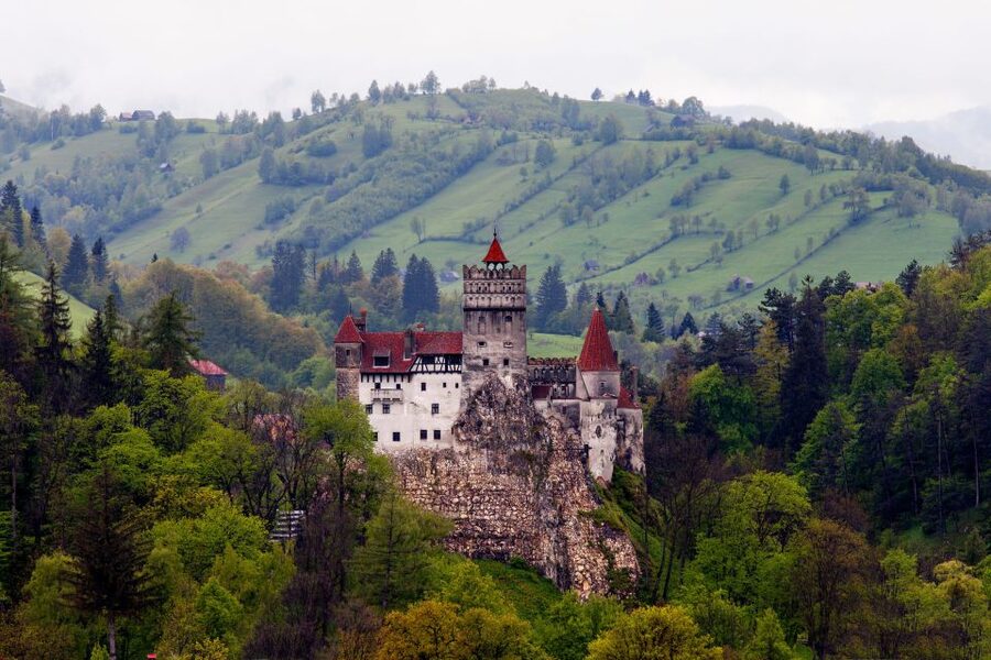Bran: Guided Castle Tour - Bran Castle tour highlights at a glance
