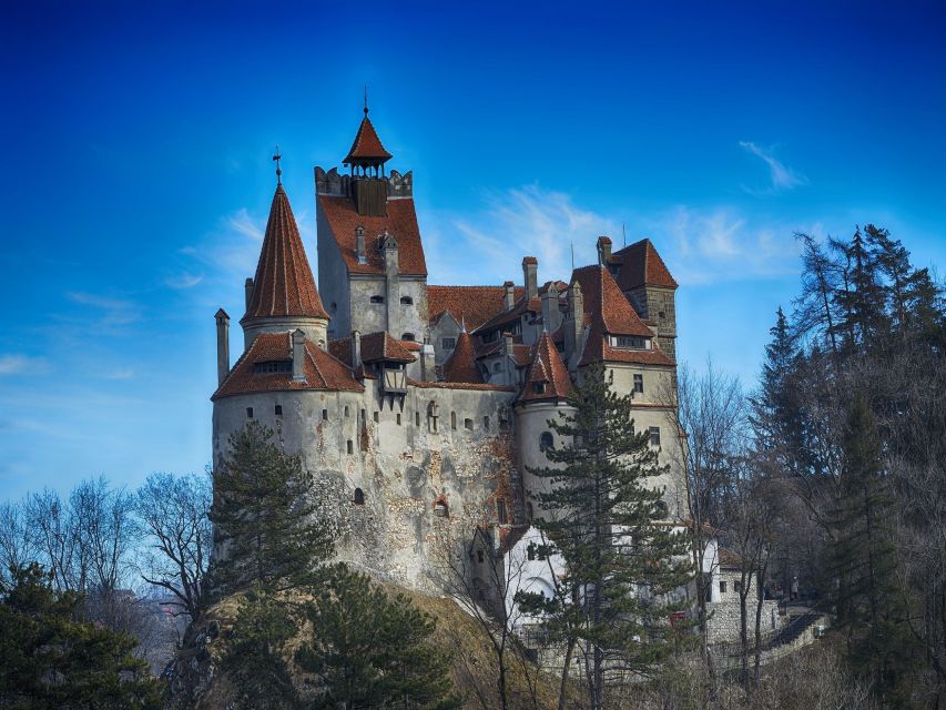 Bran: Guided Castle Tour - The music room and Castellan’s office