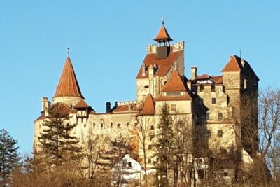 Bear Sanctuary, Bran Castle & Rasnov Fortress GUIDED Tour