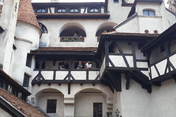 Brasov: Bear Sanctuary, Bran Castle & Rasnov Fortress GUIDED Tour - What the $69.54 Price Really Buys
