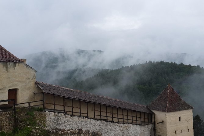 Brasov: Bear Sanctuary, Bran Castle & Rasnov Fortress GUIDED Tour - Timing, Walking, and Practical Details