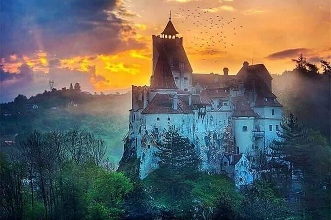 Brasov: Bear Sanctuary, Bran Castle & Rasnov Fortress GUIDED Tour - Who Will Enjoy This Brasov Day Tour?