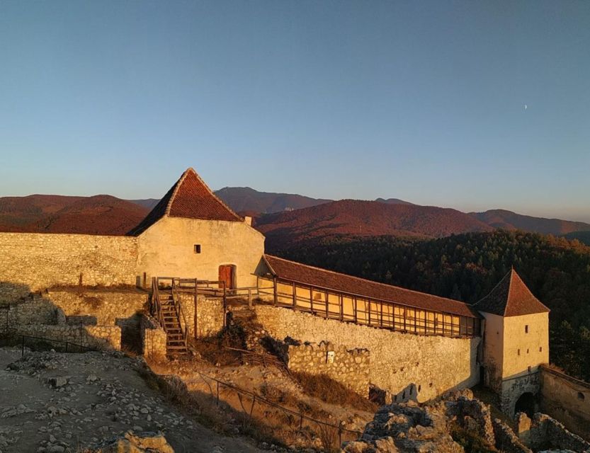 Brasov: Bear Sanctuary, Bran Castle & Rasnov Fortress Tour - Is $61 good value?