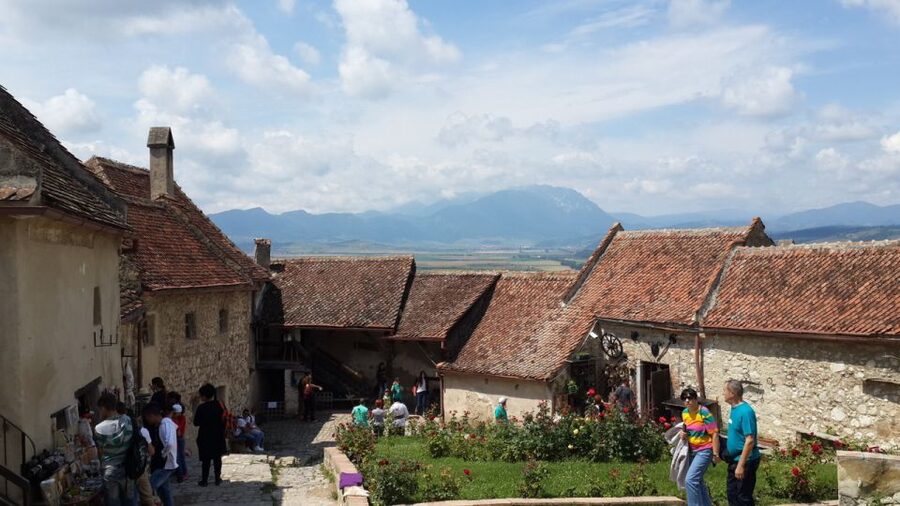 Brasov: Bear Sanctuary, Bran Castle & Rasnov Fortress Tour - Who will enjoy this tour most?