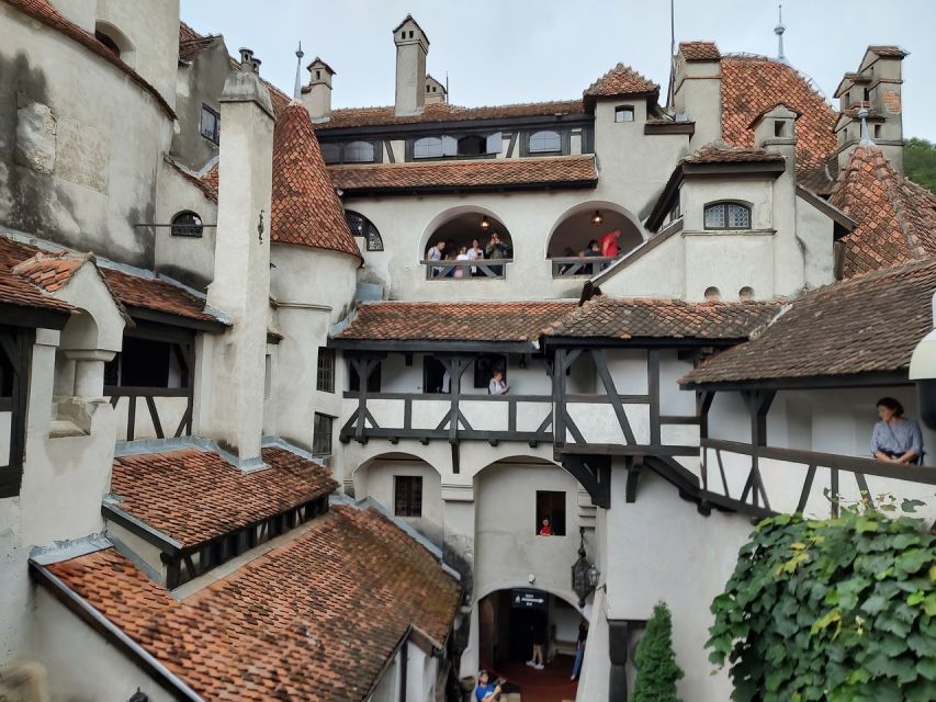 Brasov: Bear Sanctuary, Bran Castle & Rasnov Fortress Tour - Practical tips for a smoother day