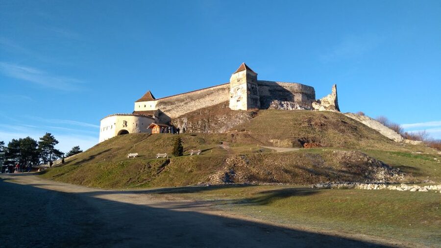 Brasov: Bear Sanctuary, Bran Castle & Rasnov Fortress Tour - Libearty Bear Sanctuary Zarnesti: the morning’s strongest stop