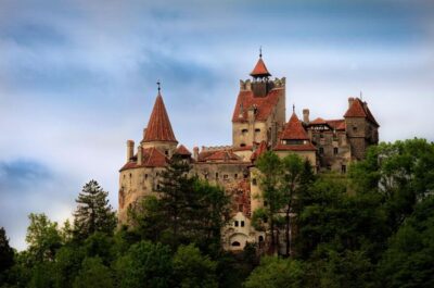 Bear Sanctuary, Dracula Castle, and Râşnov Fortress