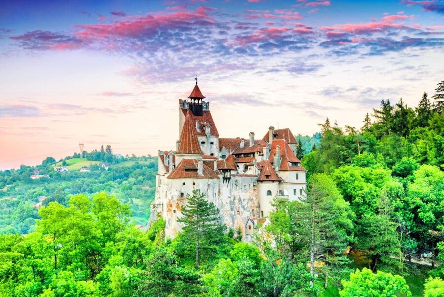 Brasov: Bear Sanctuary, Dracula Castle, and Râşnov Fortress - The guides make the transport more than a transfer