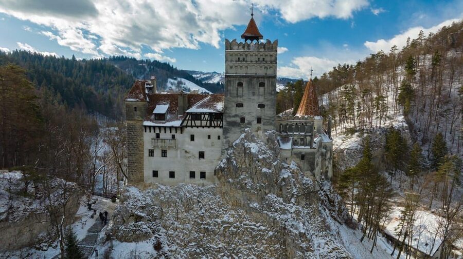 Brasov: Bear Sanctuary, Dracula Castle, and Râşnov Fortress - Should you book this Brașov day trip?