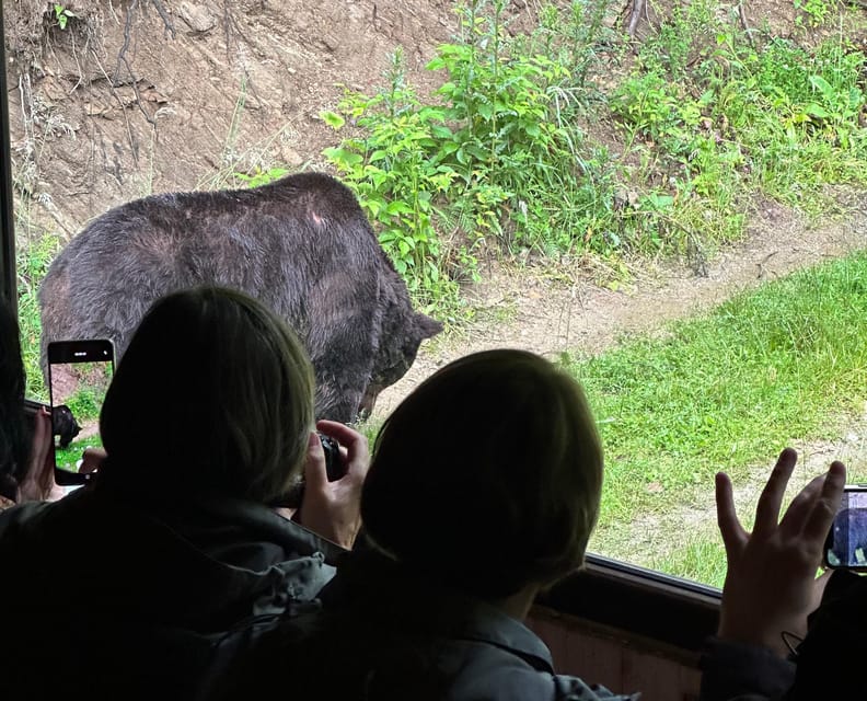 Brasov: Bear Watching in the Wild (From a Hideout) - Meeting the rangers and reaching the hideout