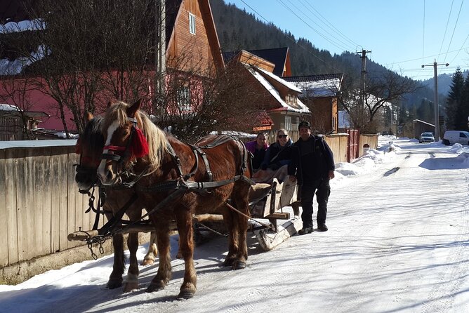 Brasov: Bears Sanctuary, Rasnov Fortress, Bran Castle GUIDED Tour - Bran Castle beyond the Dracula label